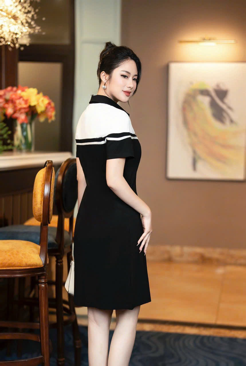 Đầm thun CL màu đen 2410