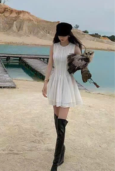 Đầm Zim sát nách cực đẹp  5963