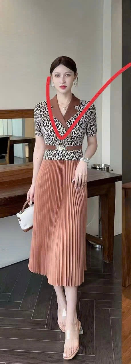 Đầm thun nhún hoạ tiết beo màu Hồng 6038