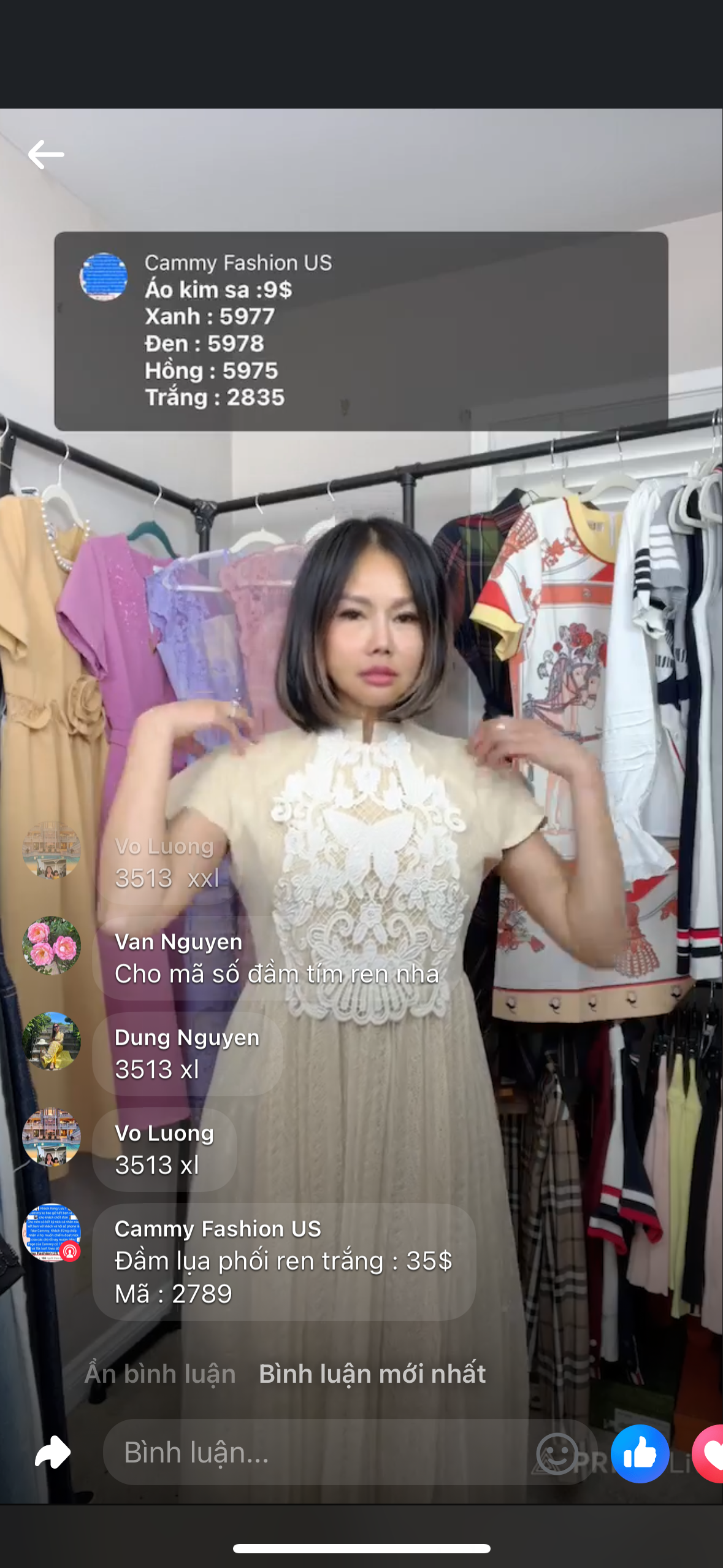 Đầm ren bướm phối tà xếp ly 2789