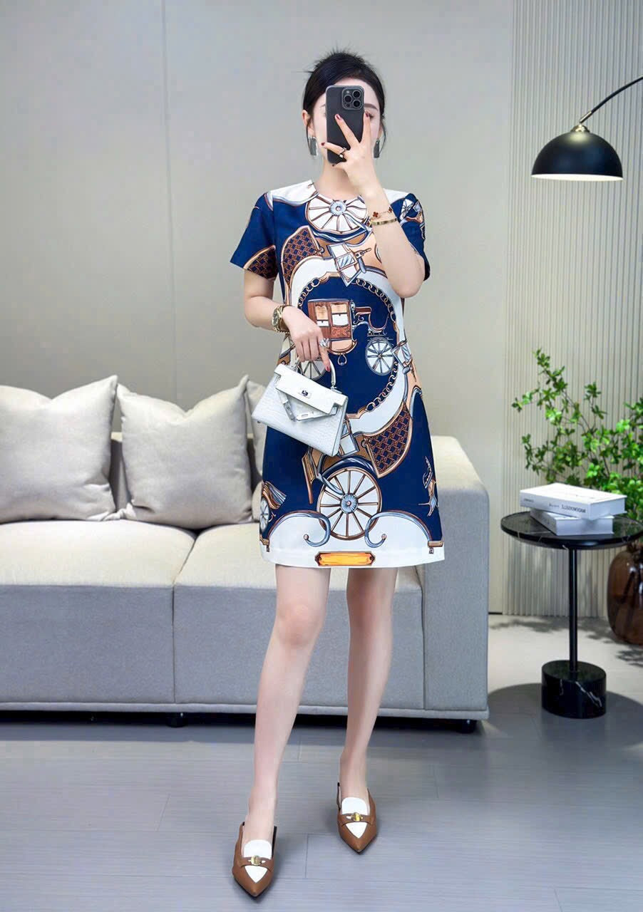 Đầm suông hoạ tiết cỗ xe ngựa màu xanh trắng 6981